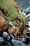 Cover of "Hulk & Thing"