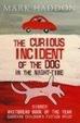 Cover of The Curious Incident of the Dog in the Night-time