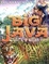 Cover of 'Big Java'