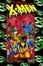 Cover of The Ultimate X-Men