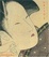 Cover of "Ukiyo-e"