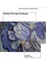 Cover of "Seeing Through Paintings"