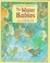Cover of Water Babies, The