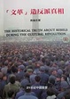 Cover of 文革造反派真相