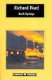 Cover of Rock Springs