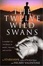 Cover of "The Twelve Wild Swans"
