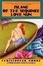 Cover of "Island of the Sequined Love Nun"