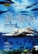 Cover of 夢的解析