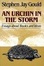 Cover of "Urchin in the Storm"
