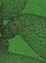 Cover of Phylogenesis Foa's Ark