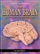 Cover of The Human Brain in Photographs and Diagrams