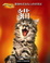 Cover of "Cats"