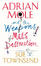 Cover of 'Adrian Mole and the Weapons of Mass Destruction'