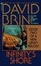 Cover of "Infinity's Shore"