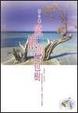 Cover of 流浪的麵包樹