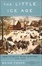 Cover of "The Little Ice Age"