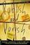 Cover of Publish and Perish