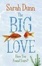 Cover of "Big Love"