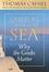 Cover of "Sailing the Wine-Dark Sea"