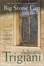 Cover of "Big Stone Gap"