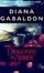 Cover of "Dragonfly in Amber"