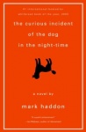 Image of The Curious Incident of the Dog in the Night-Time