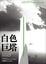Cover of 白色巨塔(中)
