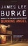 Cover of 'Burning Angel'