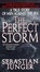Cover of The Perfect Storm