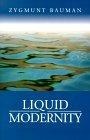 Image of Liquid Modernity