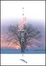 Cover of "欲望的鴕鳥"