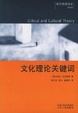 Cover of 文化理论关键词
