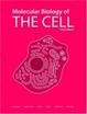 Cover of MOLECULAR BIOLOGY OF THE CELL