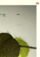 Cover of "無人知曉的我"