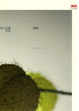 Cover of 無人知曉的我