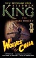 Cover of The Dark Tower, Book 5