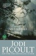 Cover of Salem Falls