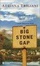 Cover of Big Stone Gap