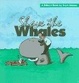 Cover of Shave The Whales