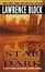 Cover of 'A Stab in the Dark'