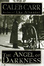 Cover of The Angel of Darkness
