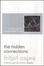 Cover of "The Hidden Connections"