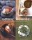 Cover of "Amuse-Bouche"