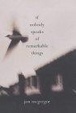 Cover of If Nobody Speaks of Remarkable Things