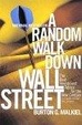 Cover of A Random Walk Down Wall Street Seventh Edition