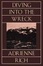 Cover of Diving into the Wreck