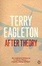 Cover of After Theory