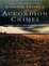 Cover of "Accordion Crimes"