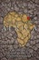 Cover of "The State of Africa"