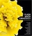 Cover of "Flash Math Creativity"